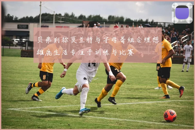 贝弗利称莫兰特与字母哥组合理想雄鹿生活专注于训练与比赛