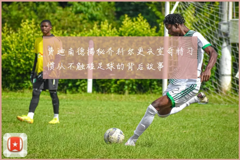 费迪南德揭秘乔科尔更衣室奇特习惯从不触碰足球的背后故事