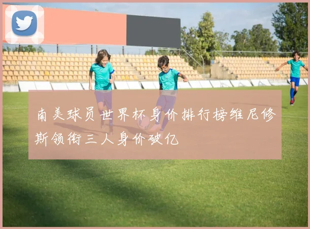 南美球员世界杯身价排行榜维尼修斯领衔三人身价破亿